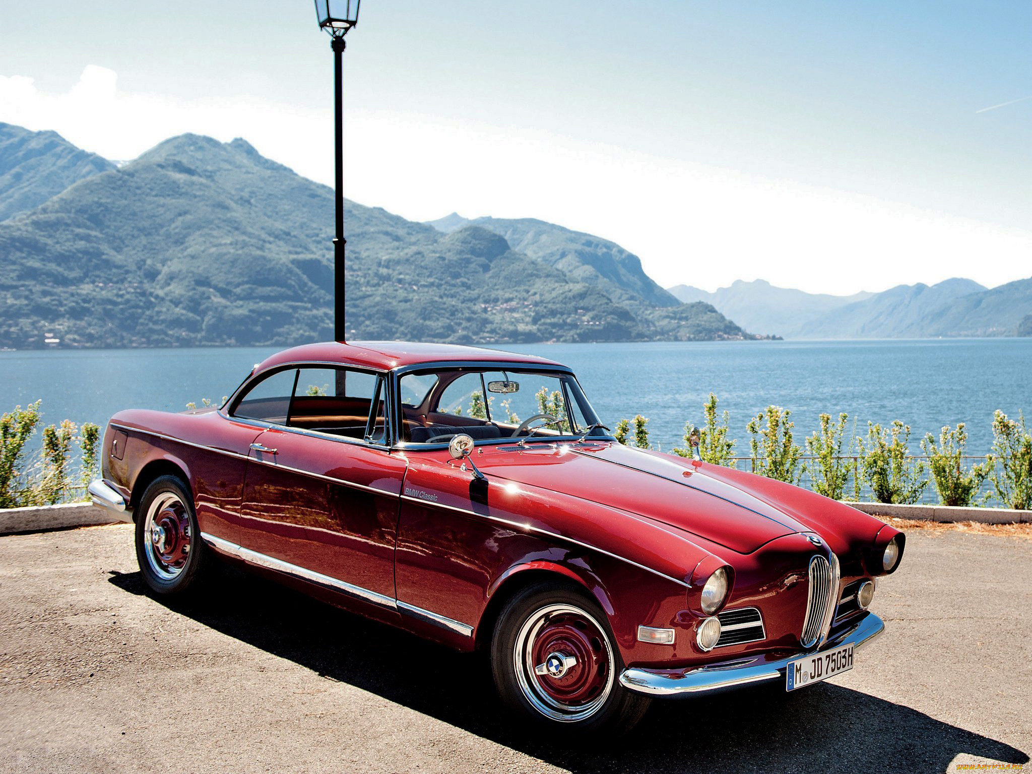 , bmw, 503